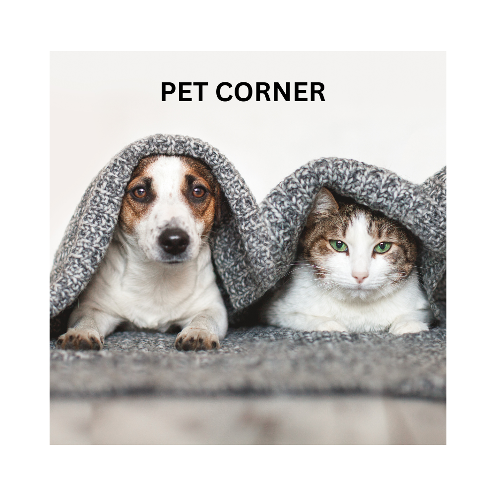 PET CORNER