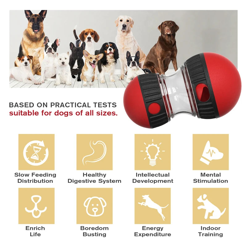 Dog Elliptical Track Rolling Ball Leaky Food Develop Good Habits