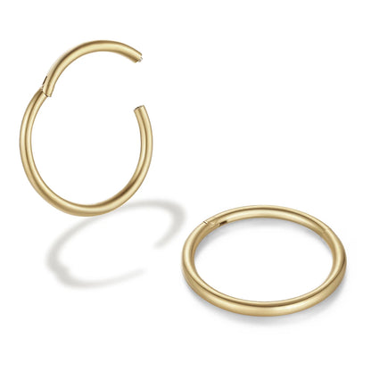 2/6PCS Seamless 316L Stainless Steel Classic Nose Ring for Men Women /Hoop Earrings Septum Helix Tragus Ear Piercing