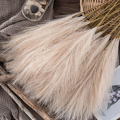 Fluffy Boho Pampas Grass