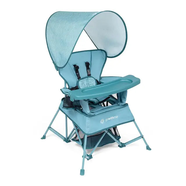 Baby Delight Go Chair