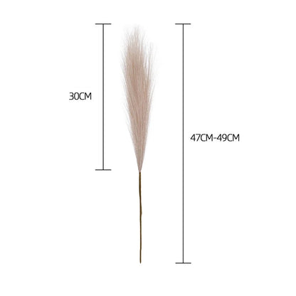 Fluffy Boho Pampas Grass