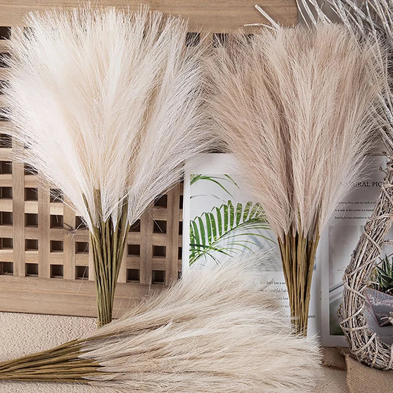 Fluffy Boho Pampas Grass