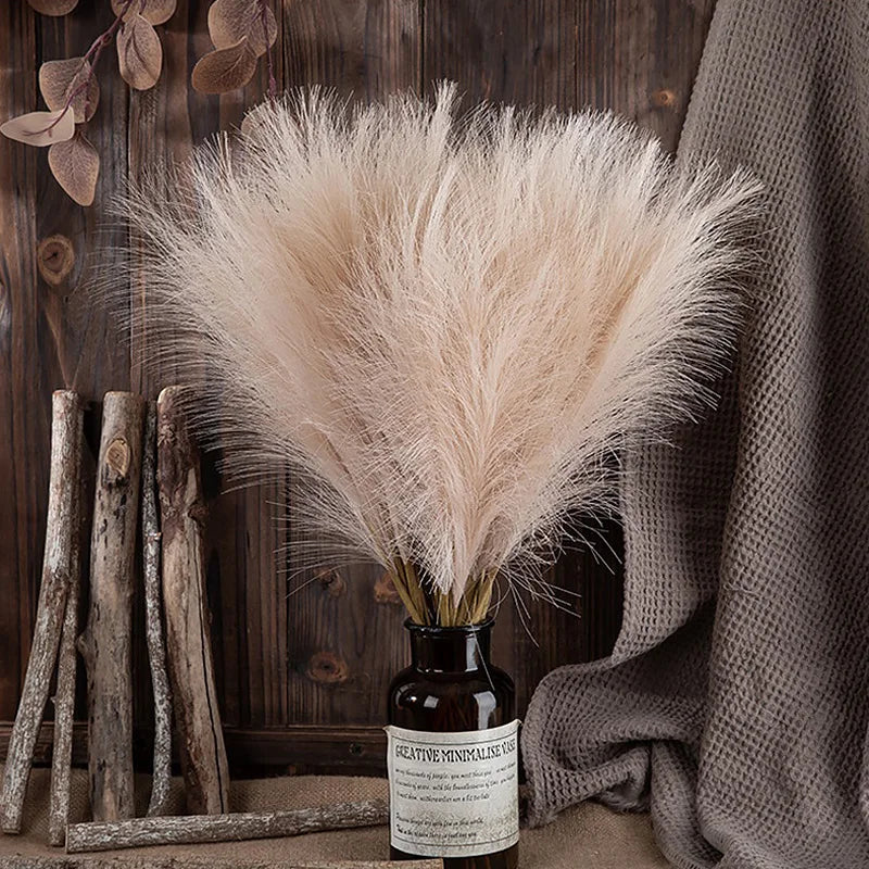 Fluffy Boho Pampas Grass