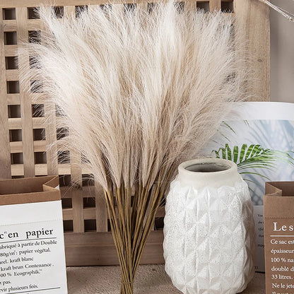 Fluffy Boho Pampas Grass